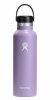 Hydro Flask STANDARD MOUTH Stalowa Butelka Termiczna do Wody 620 ml / Fioletowa